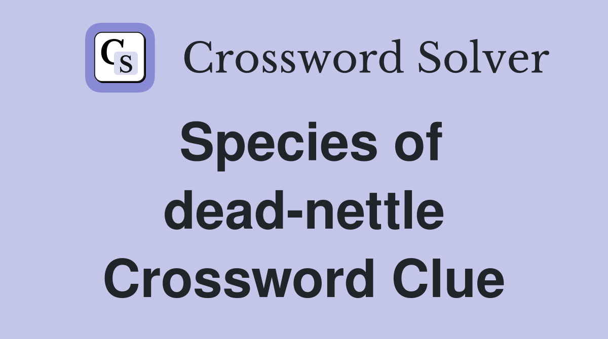 Species of dead-nettle Crossword Clue