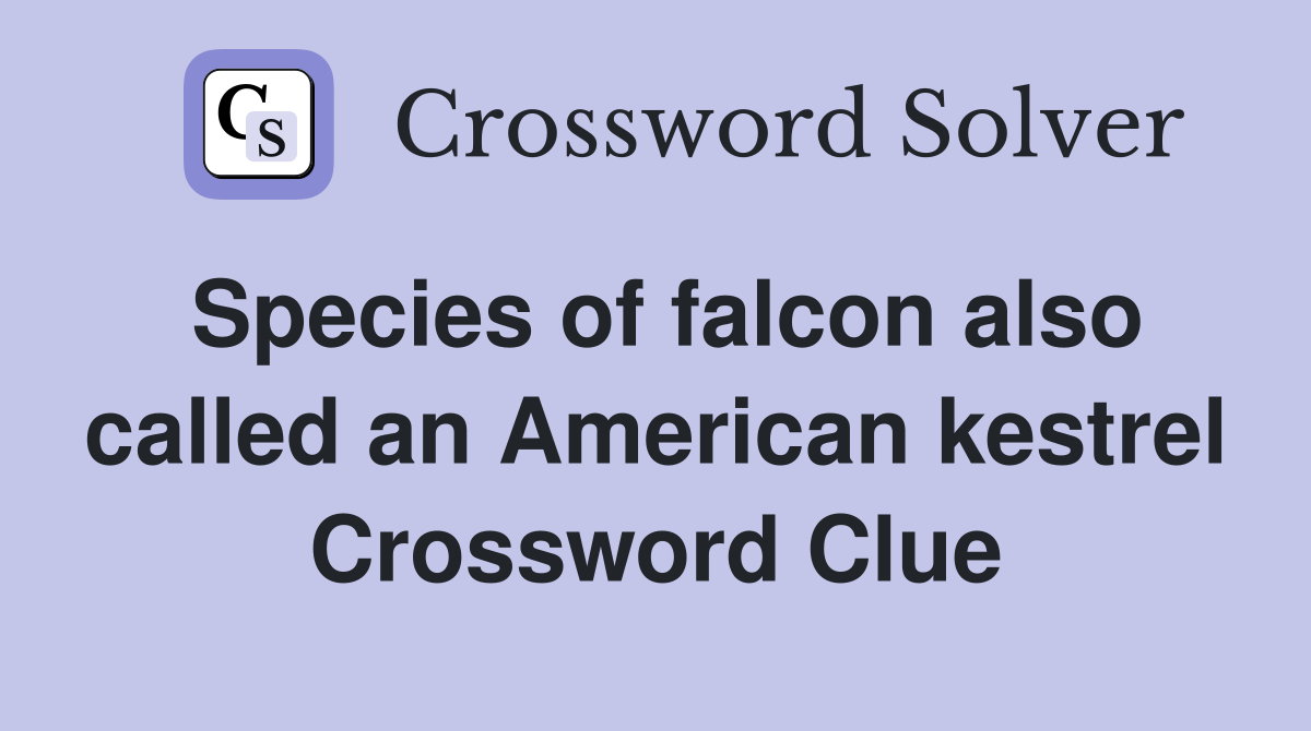 Species of falcon also called an American kestrel Crossword Clue