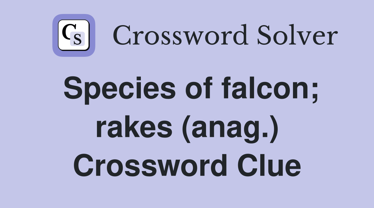 Species of falcon; rakes (anag.) Crossword Clue