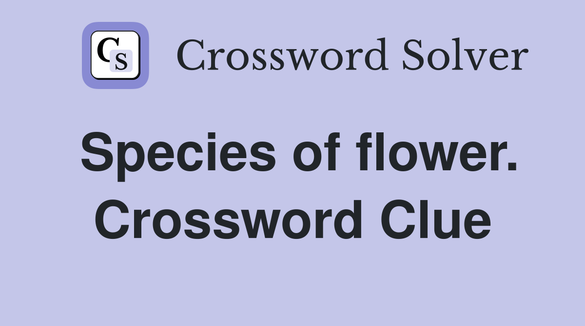 Species of flower. Crossword Clue