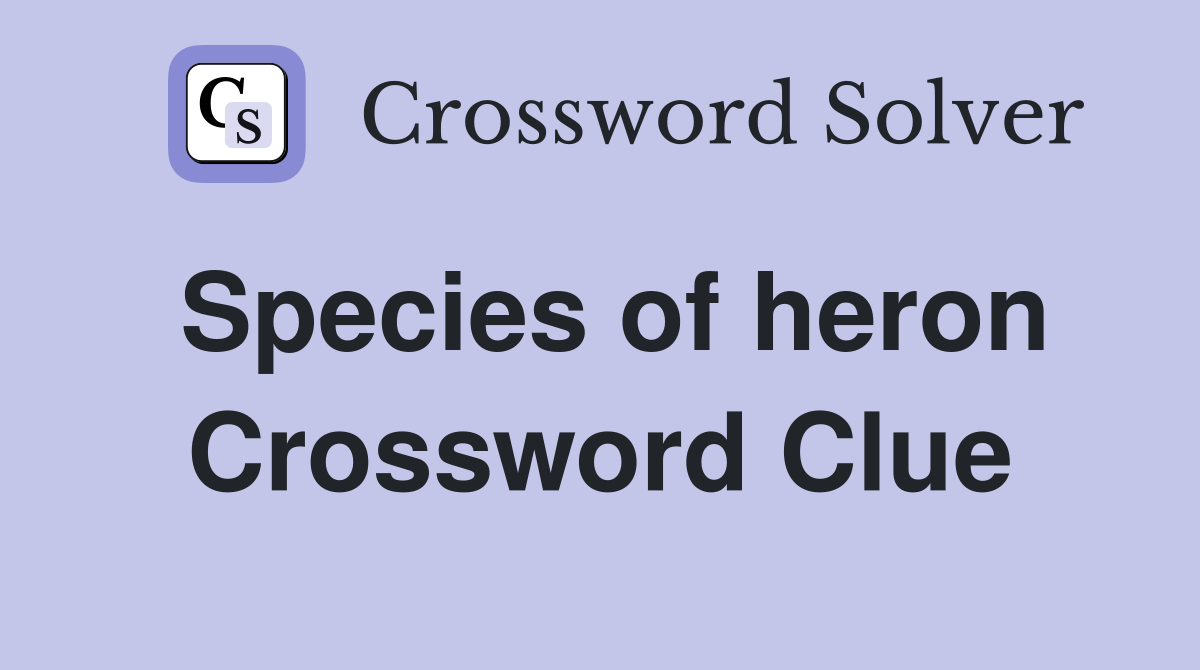 Species of heron Crossword Clue