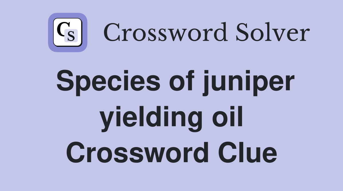 Species of juniper yielding oil Crossword Clue