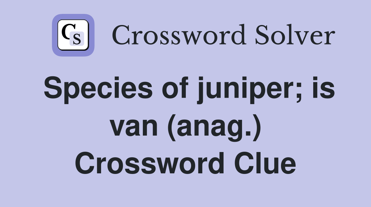 Species of juniper; is van (anag.) Crossword Clue