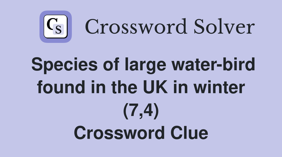 Species of large water-bird found in the UK in winter (7,4) Crossword Clue