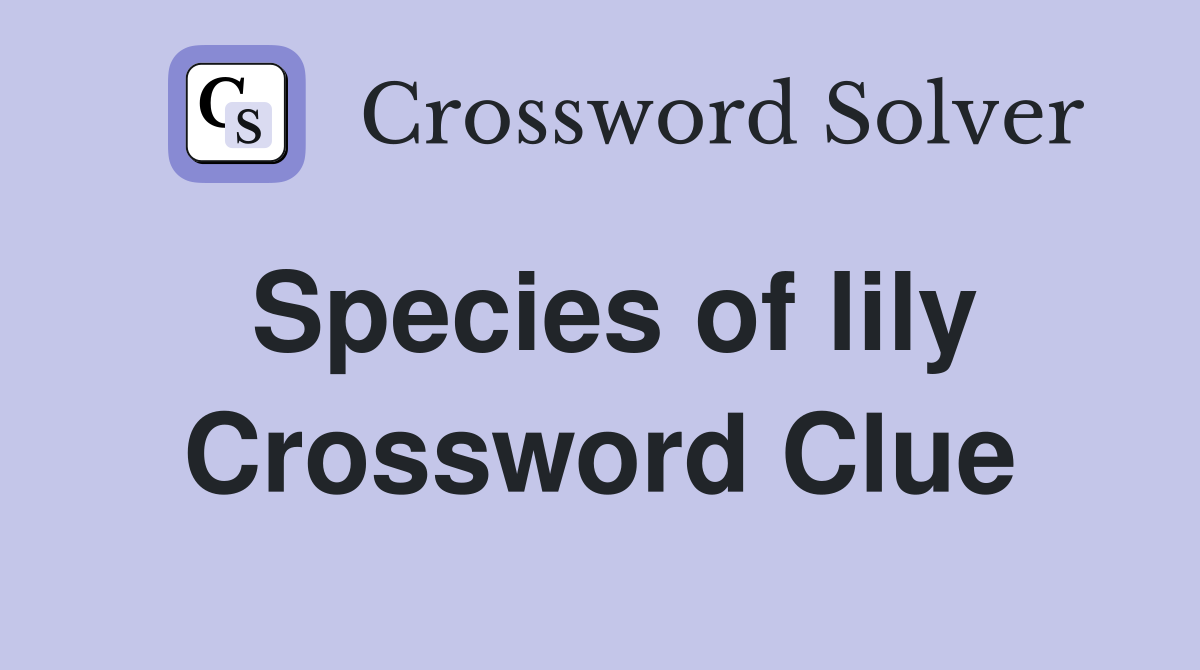 Species of lily Crossword Clue
