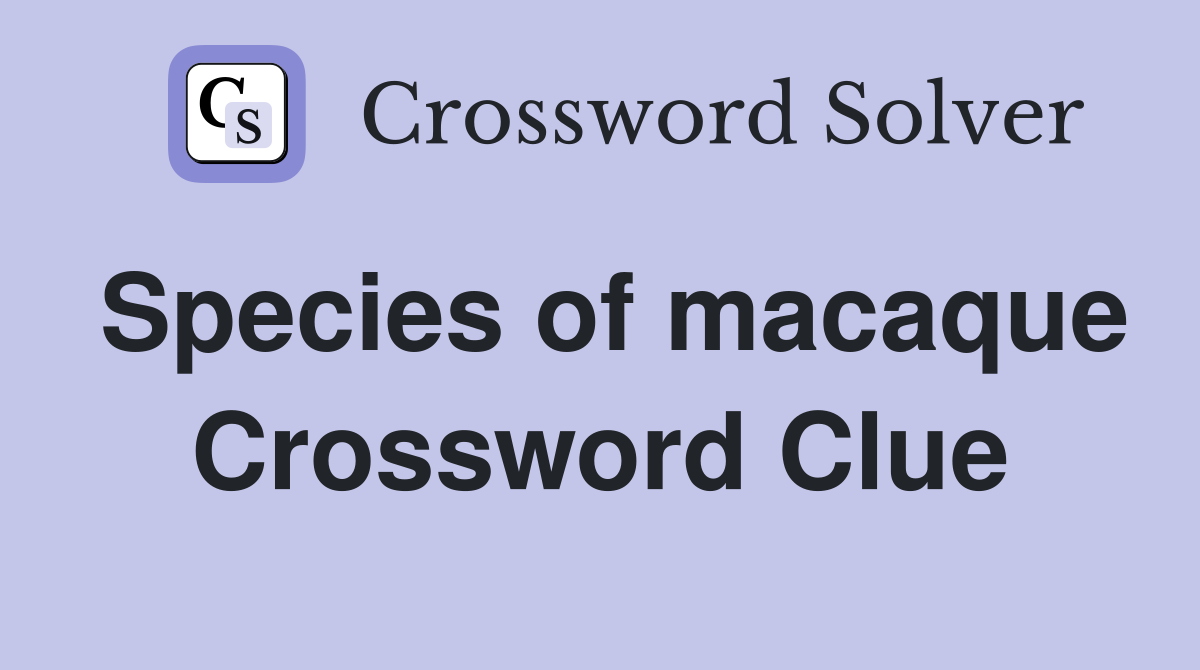 Species of macaque Crossword Clue
