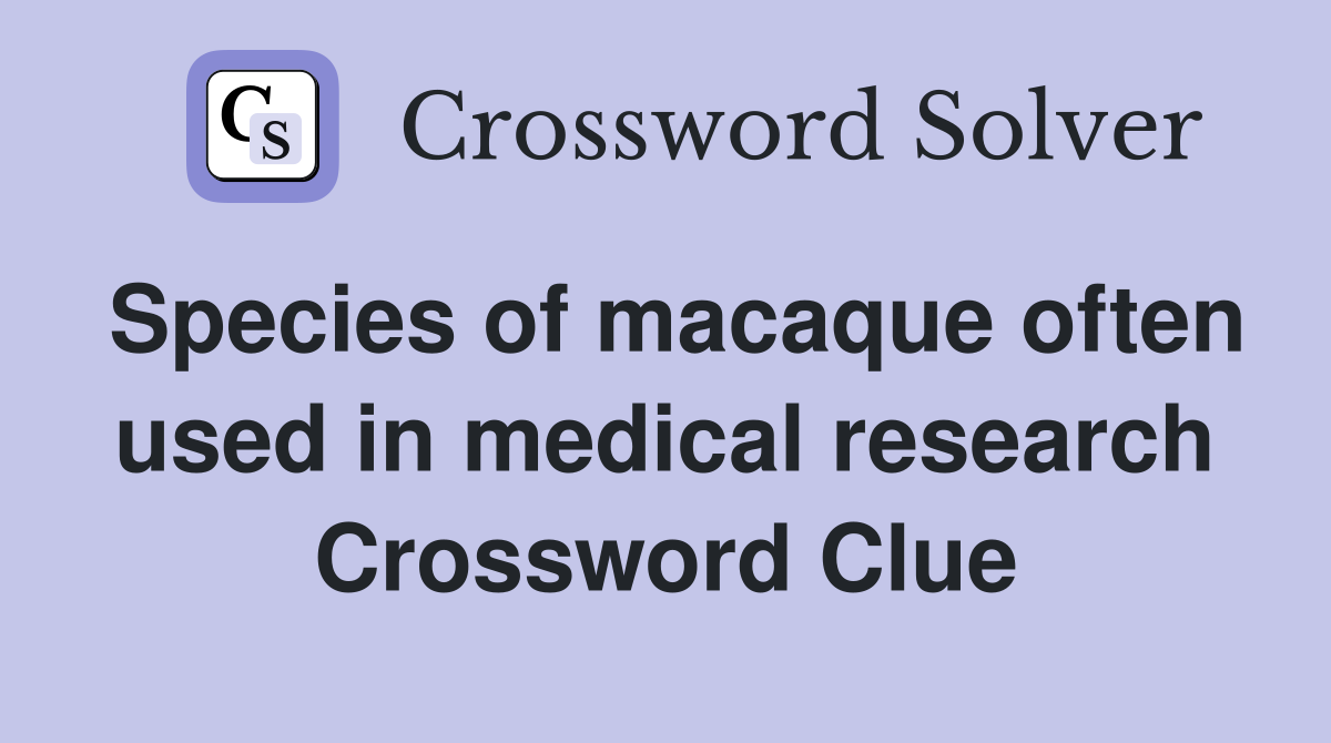 Species of macaque often used in medical research Crossword Clue