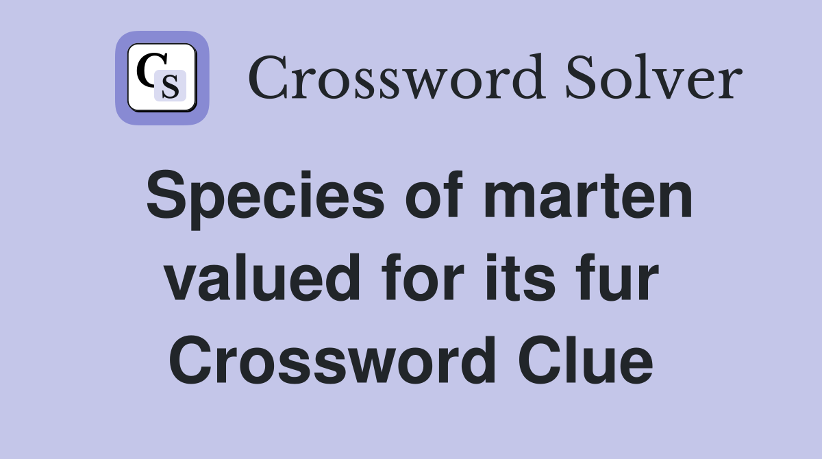 Species of marten valued for its fur Crossword Clue