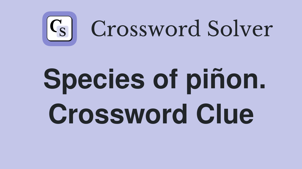 Species of piñon. Crossword Clue