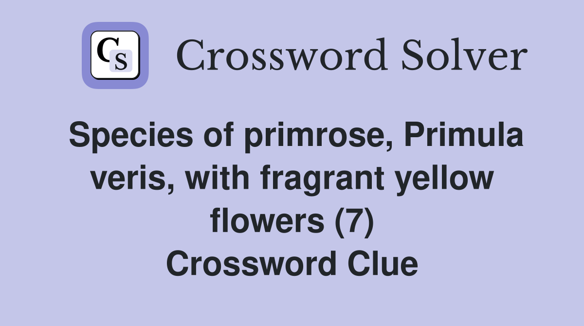 Species of primrose, Primula veris, with fragrant yellow flowers (7) Crossword Clue