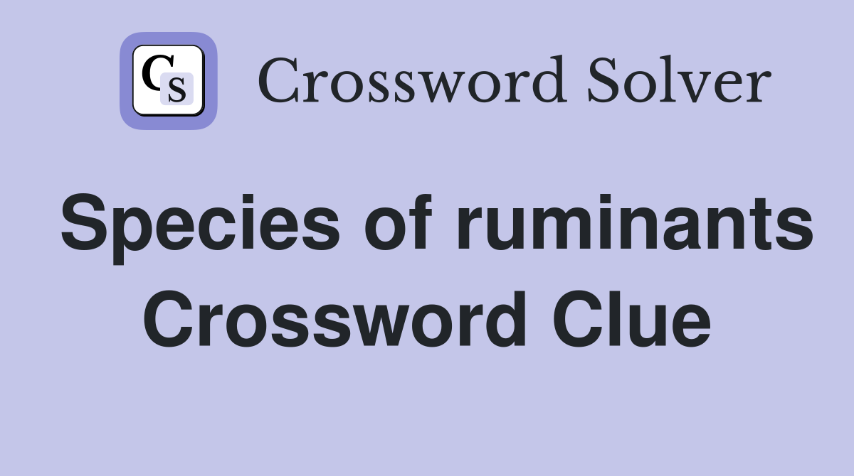 Species of ruminants Crossword Clue
