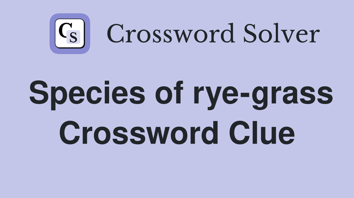 Species of rye-grass Crossword Clue