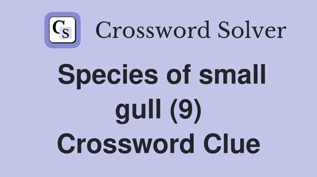 Species of small gull (9) Crossword Clue