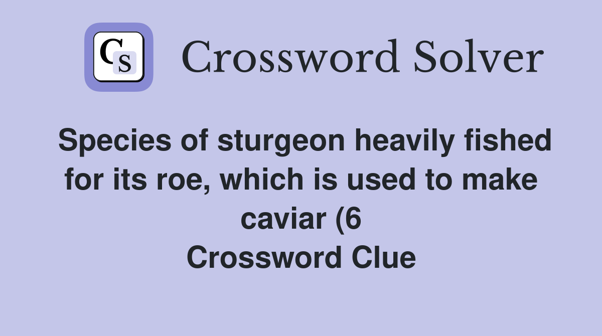 Species of sturgeon heavily fished for its roe which is used to make Species of sturgeon heavily fished for its roe which is used to make