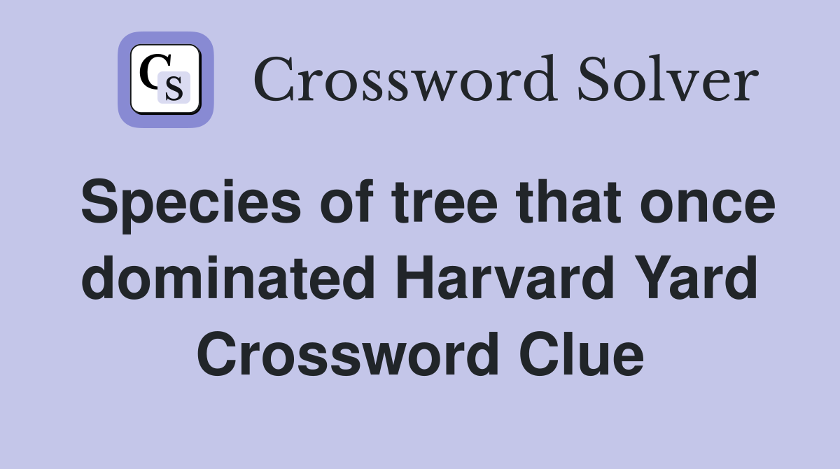Species of tree that once dominated Harvard Yard Crossword Clue