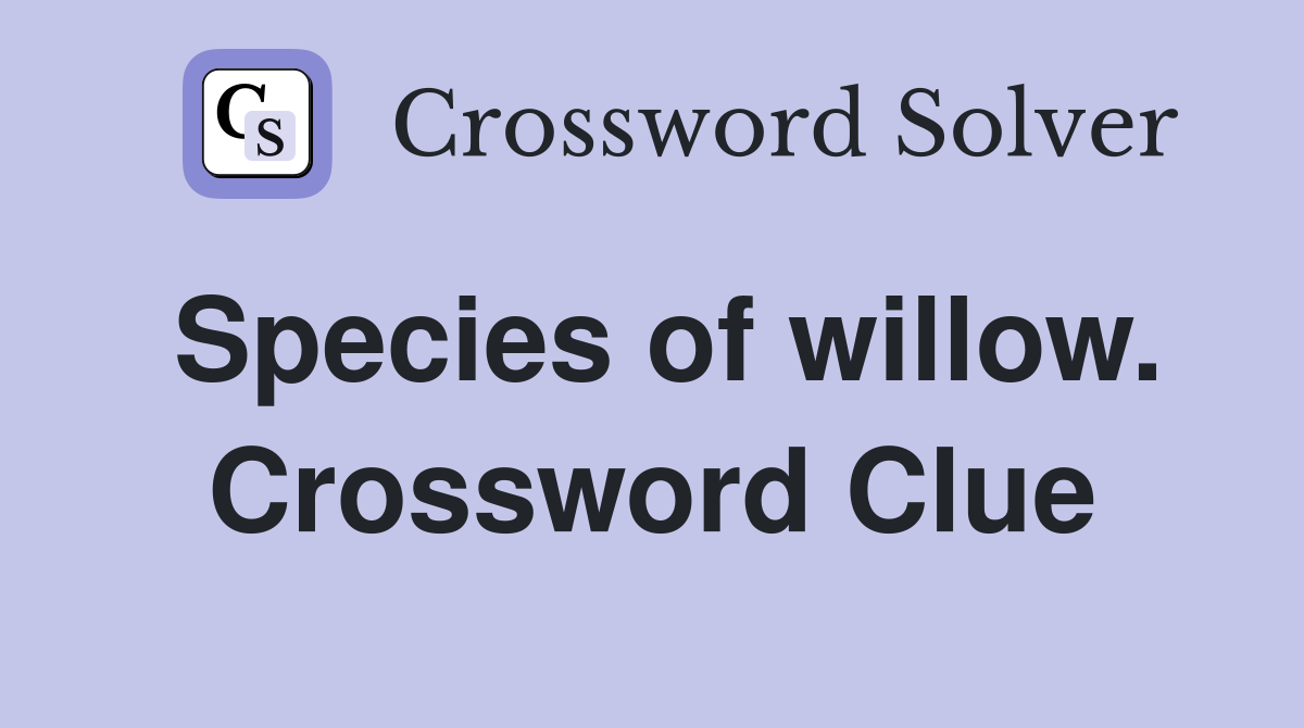 Species of willow. Crossword Clue