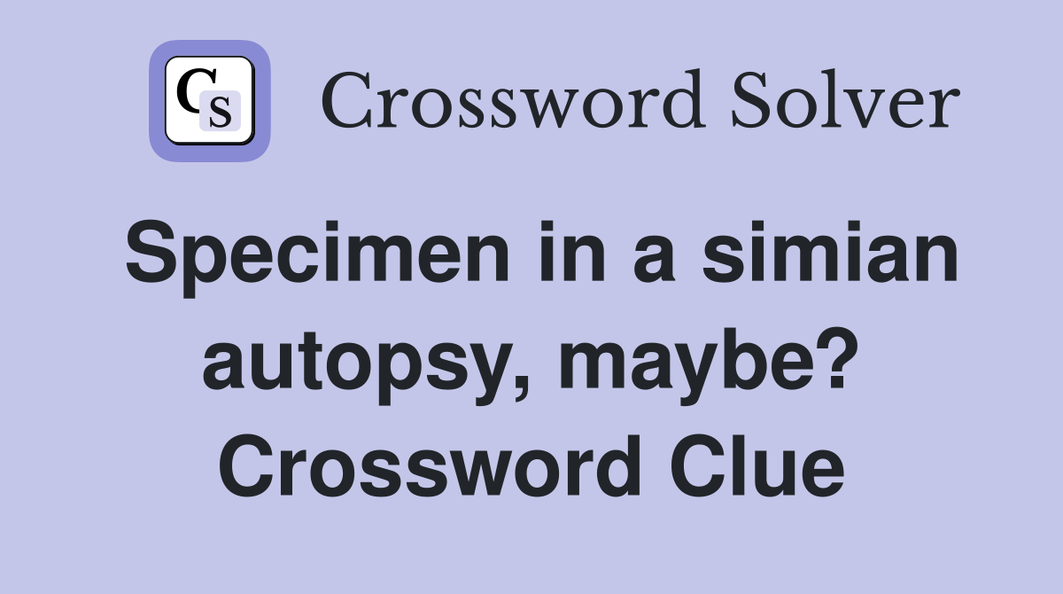 Specimen in a simian autopsy, maybe? Crossword Clue