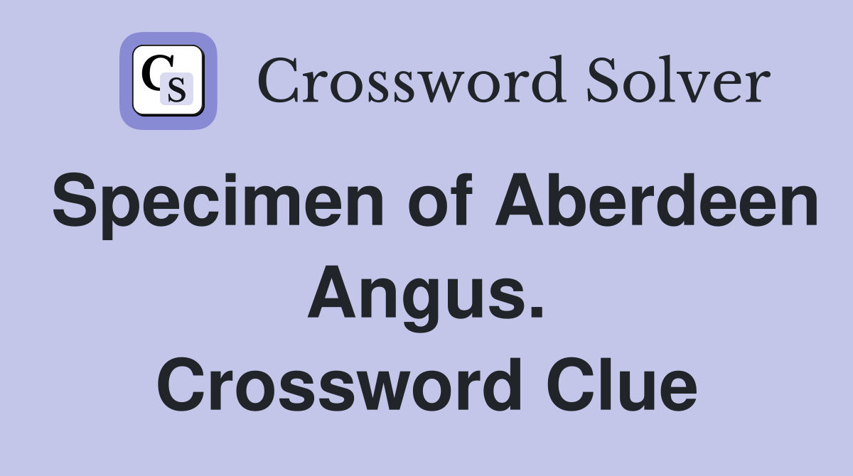 Specimen of Aberdeen Angus. Crossword Clue