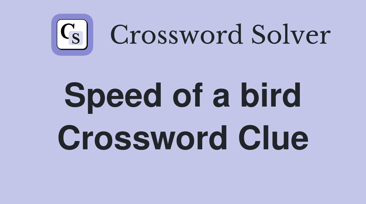 Speed of a bird  Crossword Clue