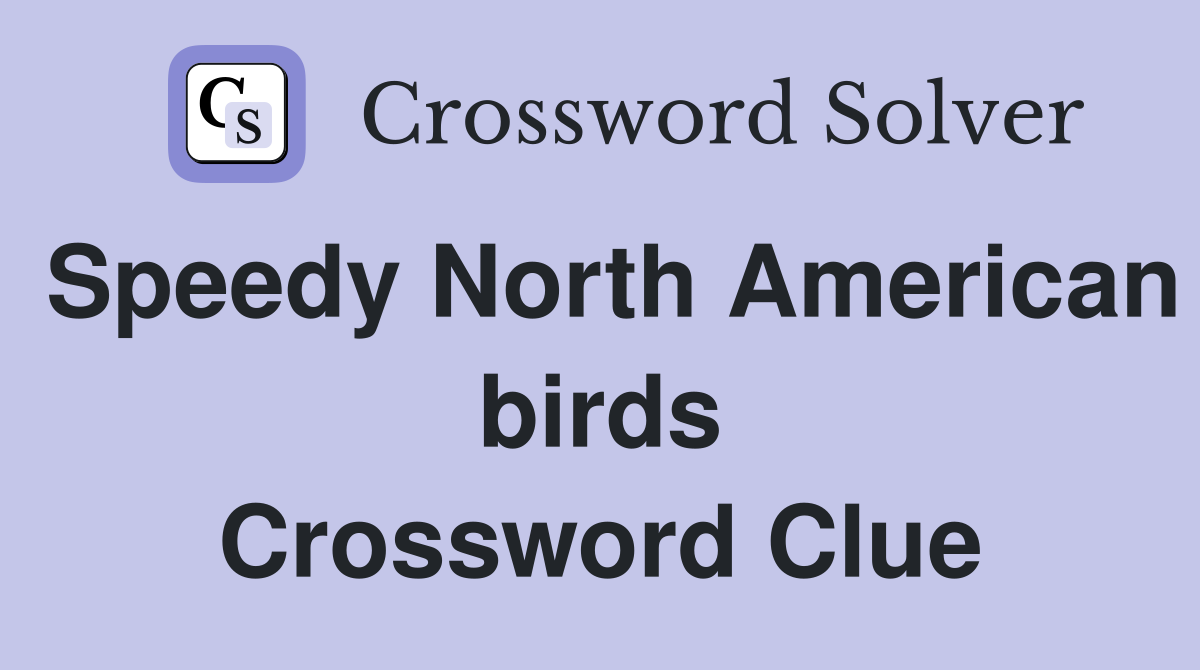 Speedy North American birds Crossword Clue