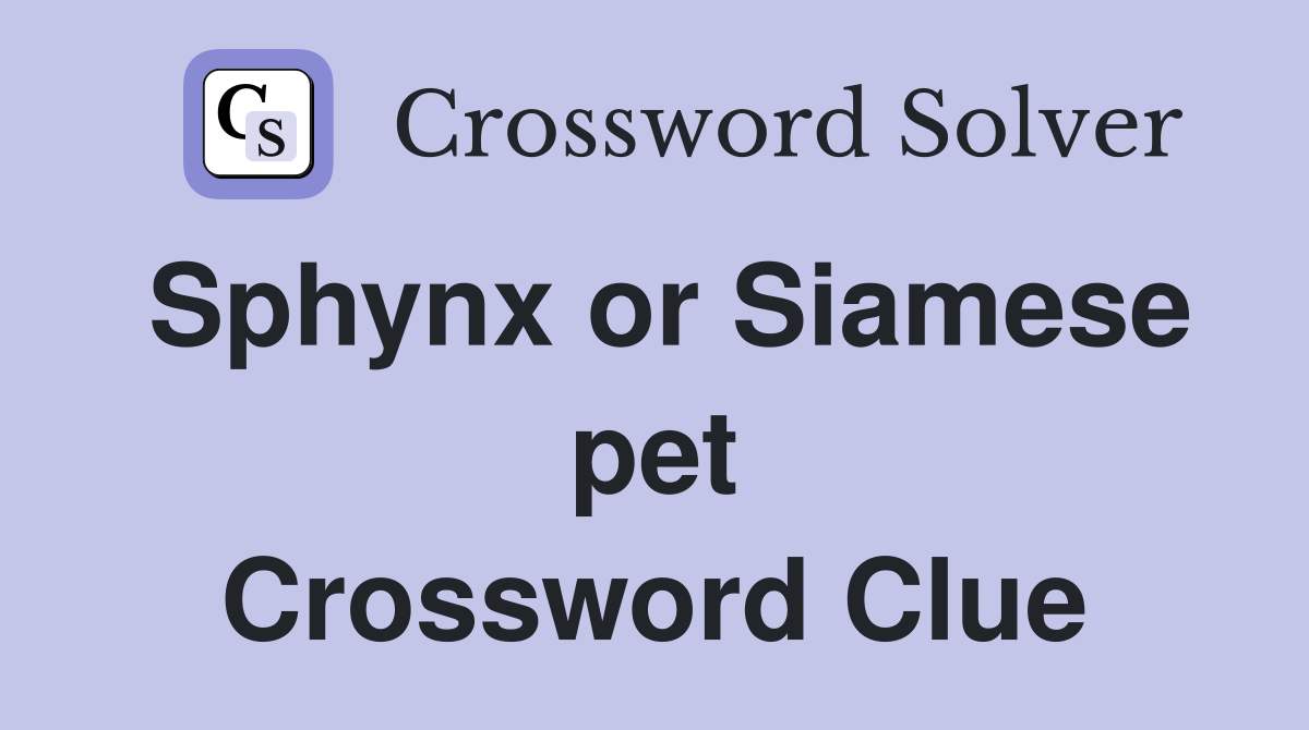 Sphynx or Siamese pet Crossword Clue