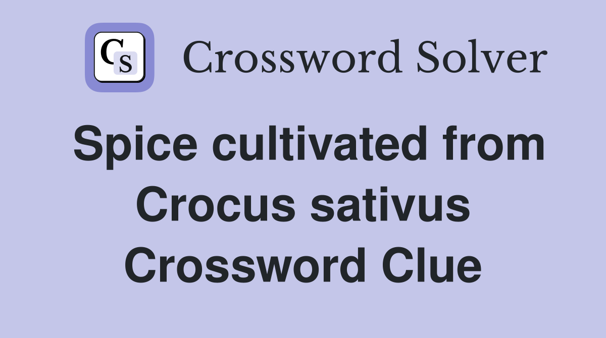 Spice cultivated from Crocus sativus Crossword Clue