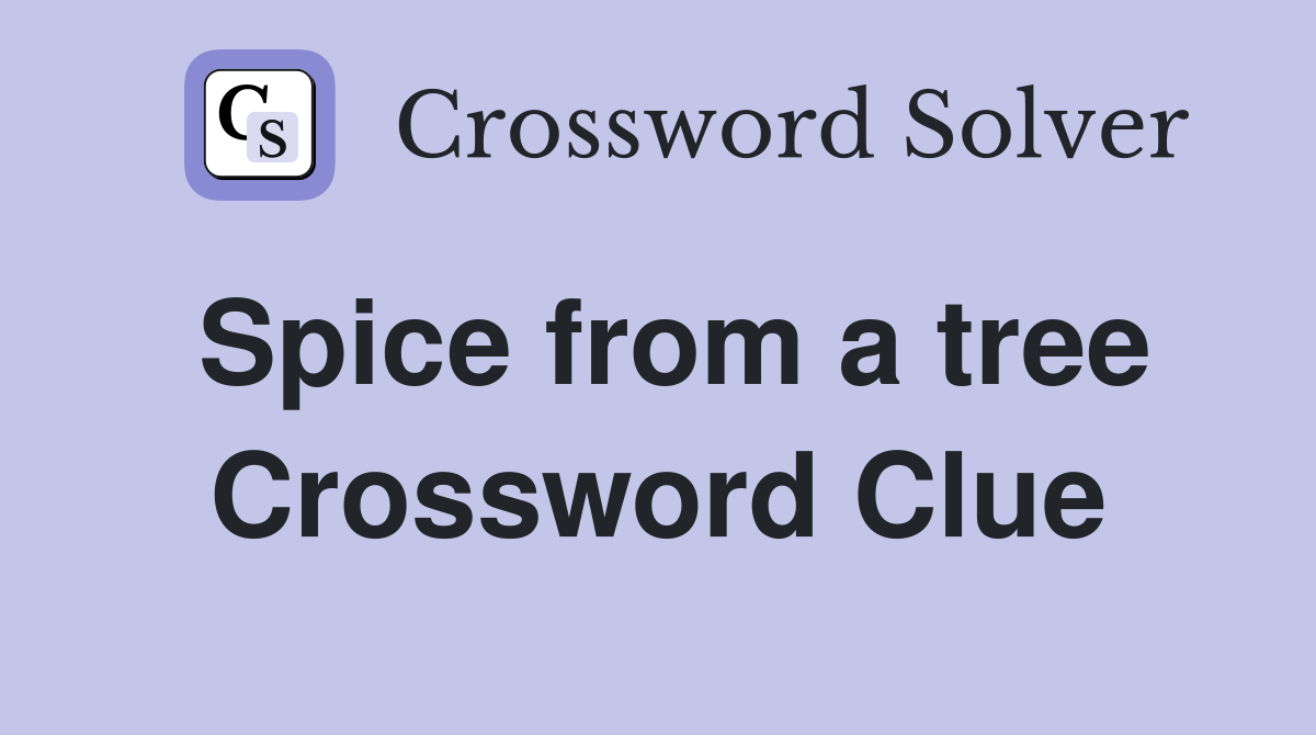 Spice from a tree Crossword Clue