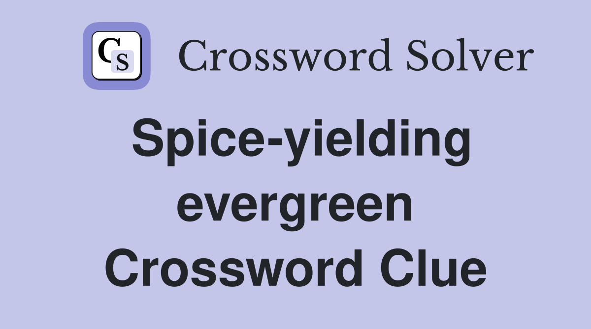 Spice-yielding evergreen Crossword Clue
