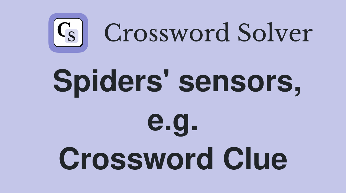 Spiders' sensors, e.g. Crossword Clue