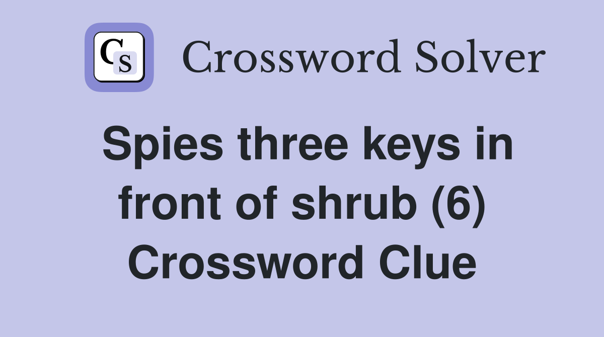 Spies three keys in front of shrub (6) Crossword Clue