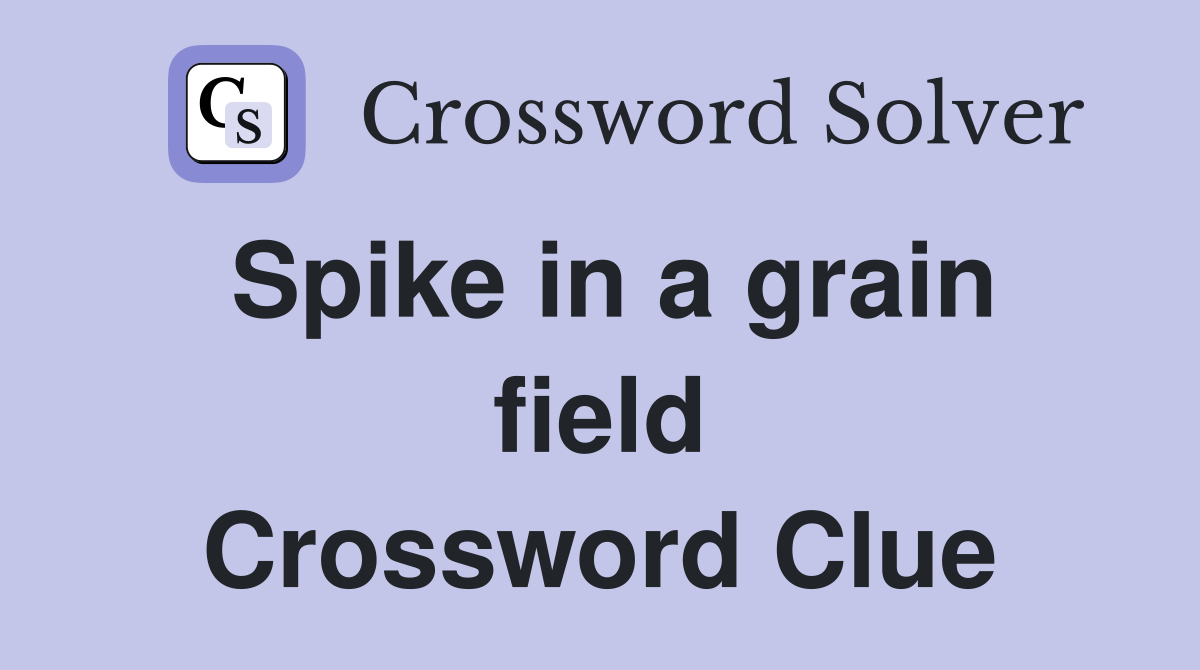 Spike in a grain field Crossword Clue