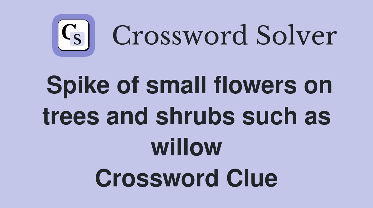 Spike of small flowers on trees and shrubs such as willow Crossword Clue