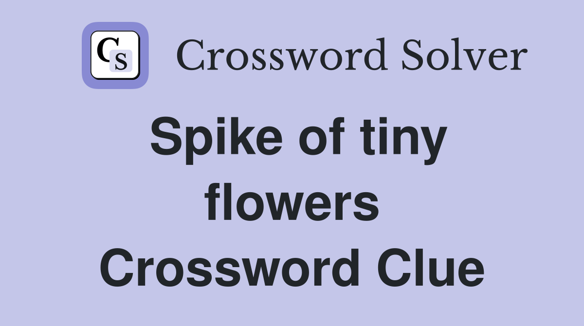 Spike of tiny flowers Crossword Clue