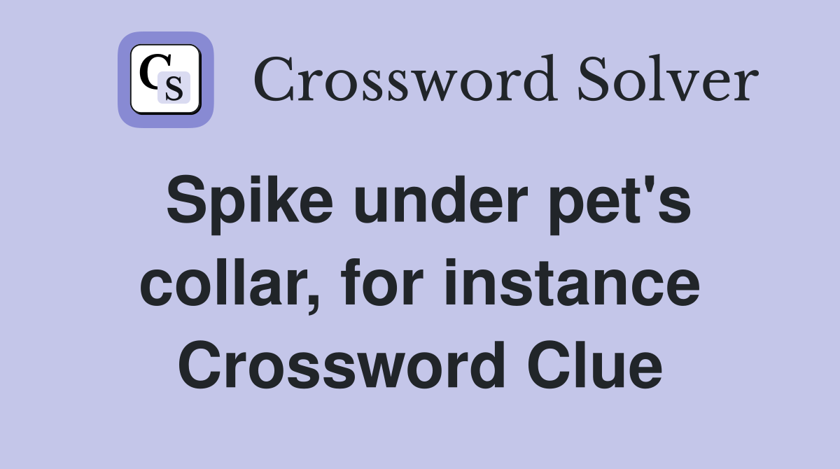 Spike under pet's collar, for instance Crossword Clue