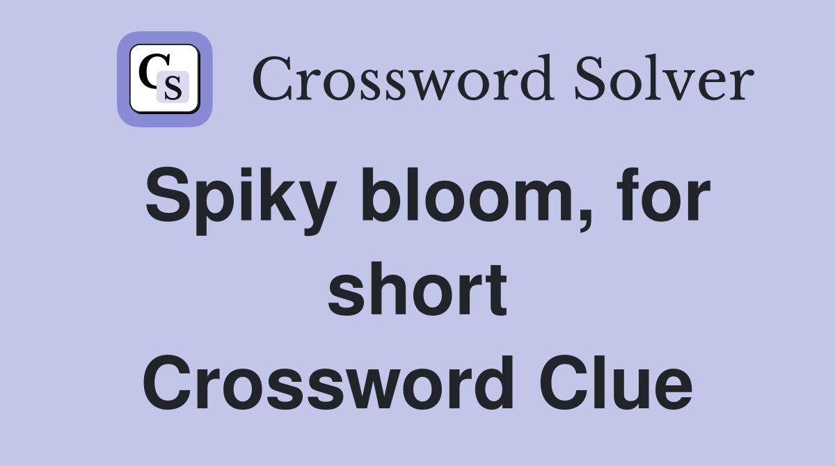 Spiky bloom, for short Crossword Clue