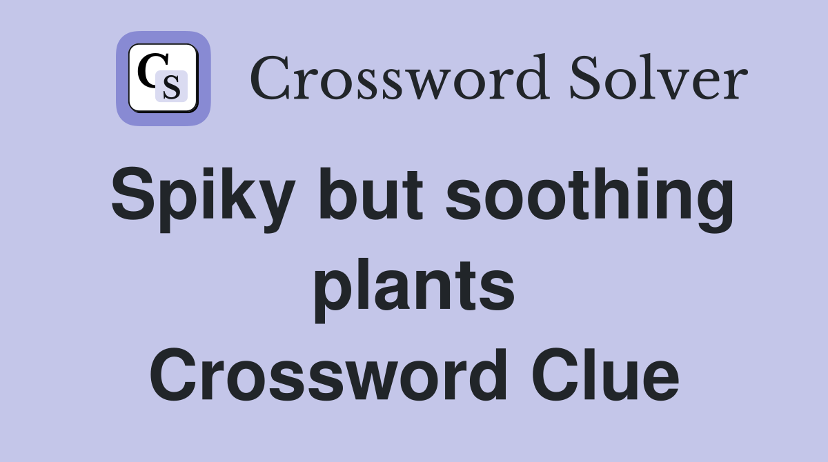 Spiky but soothing plants Crossword Clue