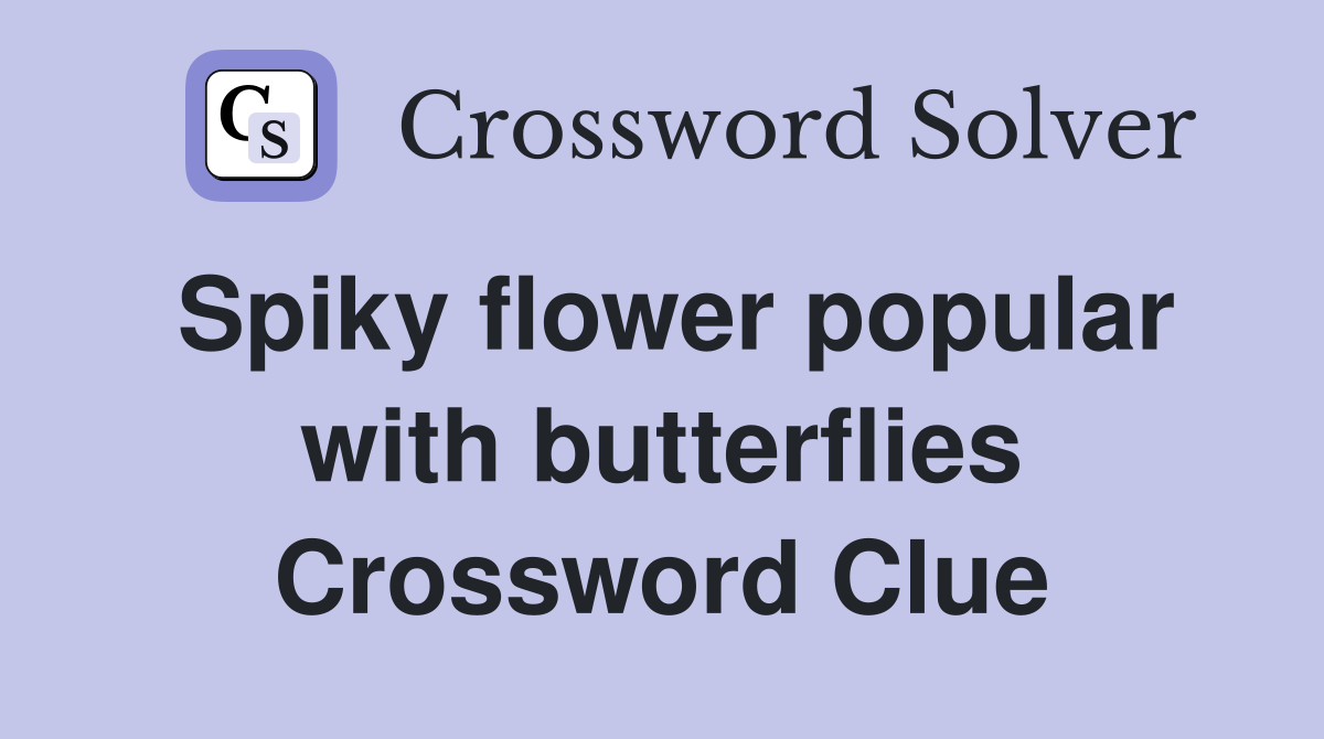Spiky flower popular with butterflies Crossword Clue