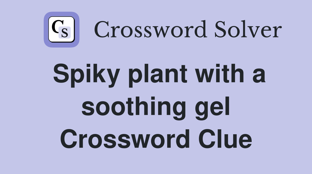 Spiky plant with a soothing gel Crossword Clue