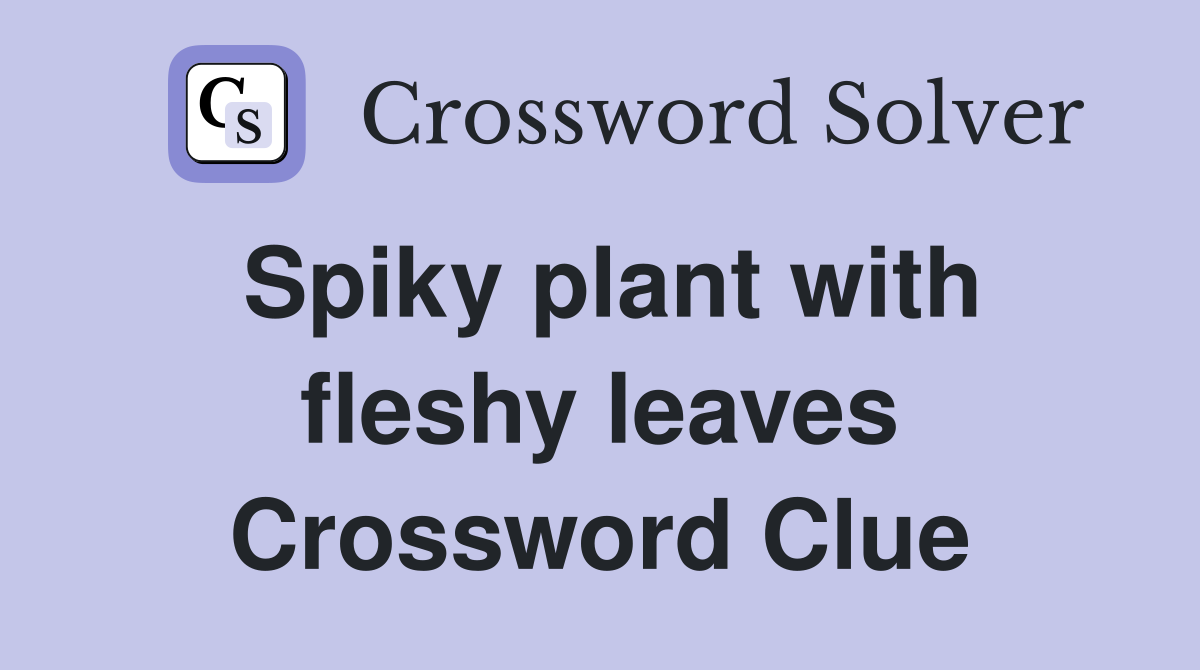 Spiky plant with fleshy leaves Crossword Clue