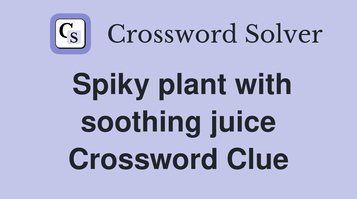 Spiky plant with soothing juice Crossword Clue