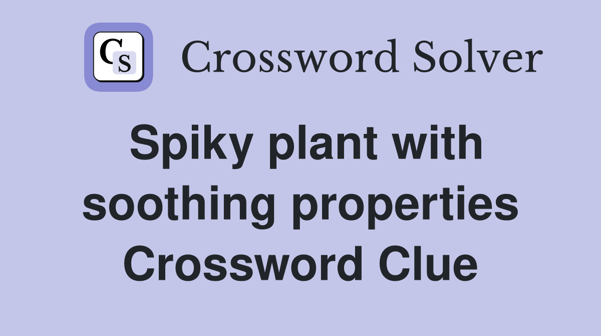 Spiky plant with soothing properties Crossword Clue
