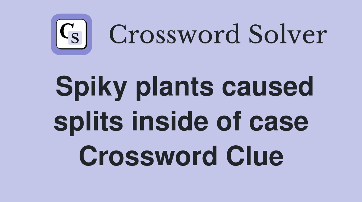 Spiky plants caused splits inside of case Crossword Clue