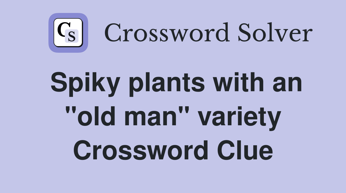 Spiky plants with an "old man" variety Crossword Clue