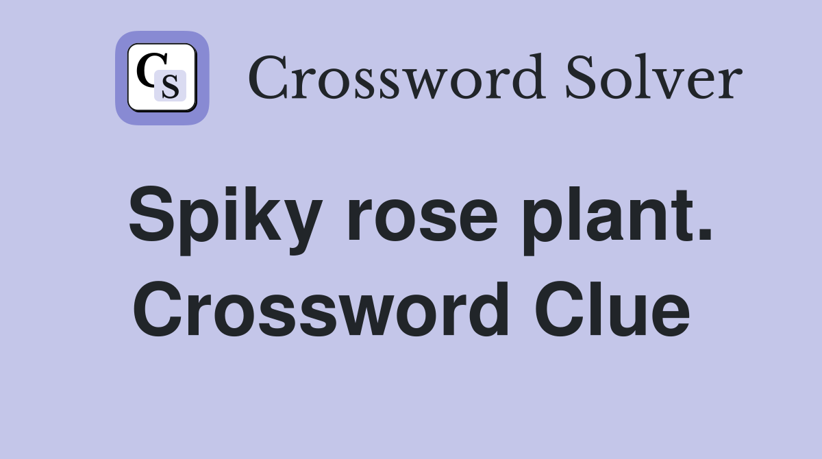 Spiky rose plant. Crossword Clue
