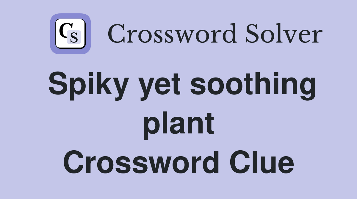Spiky yet soothing plant Crossword Clue