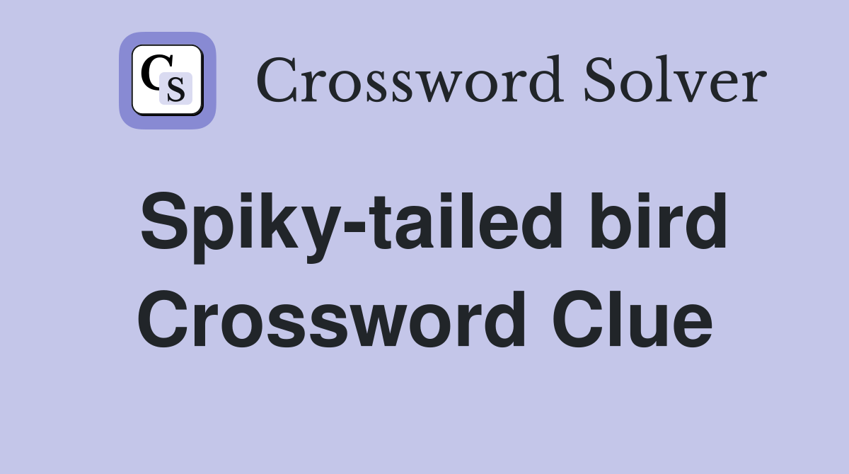 Spiky-tailed bird Crossword Clue