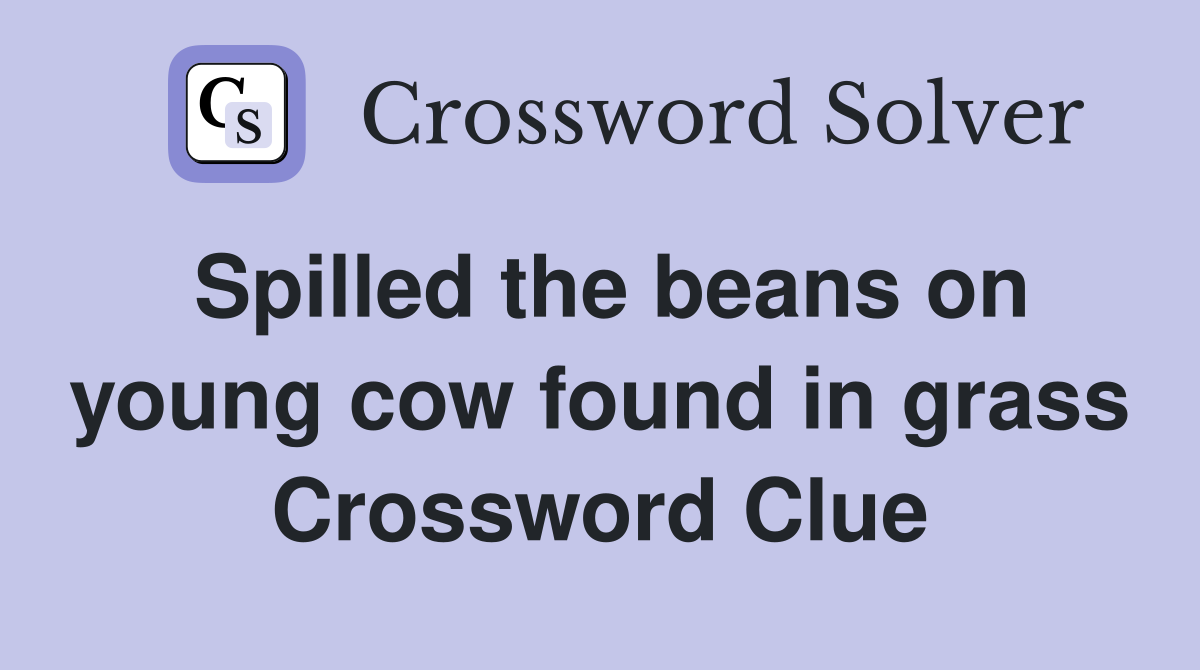 Spilled the beans on young cow found in grass Crossword Clue