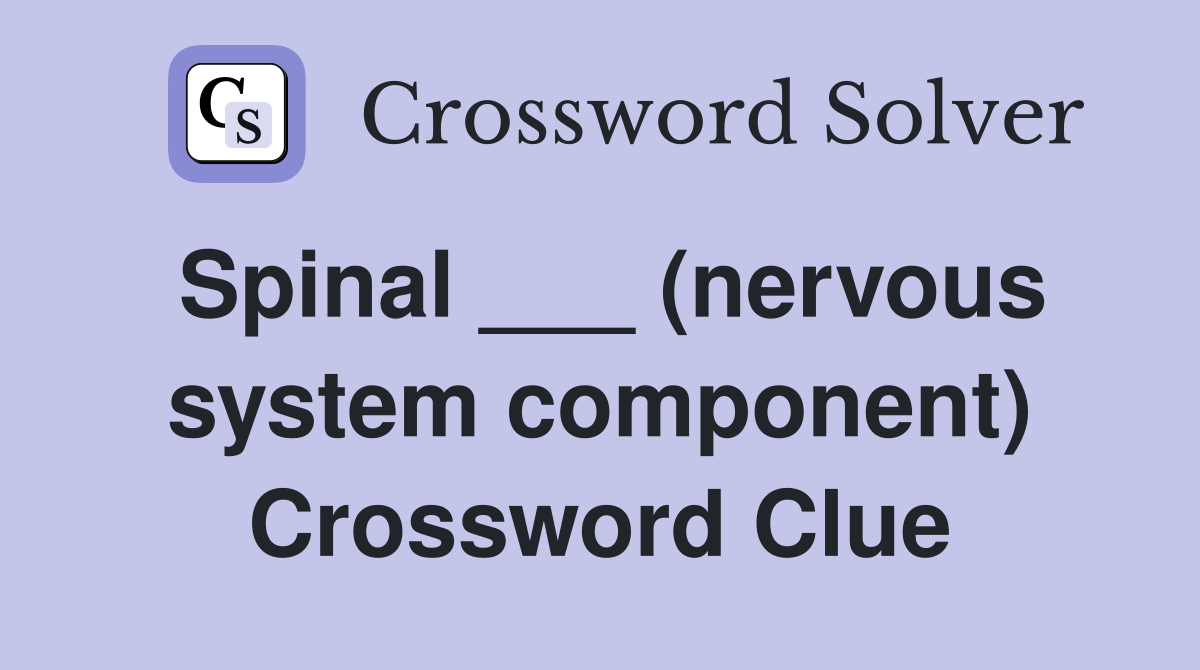 Spinal ___ (nervous system component) Crossword Clue
