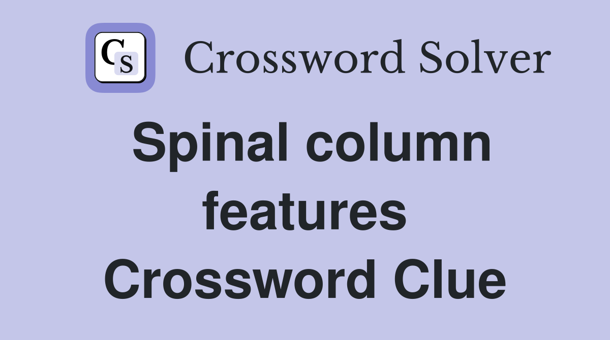 Spinal column features Crossword Clue