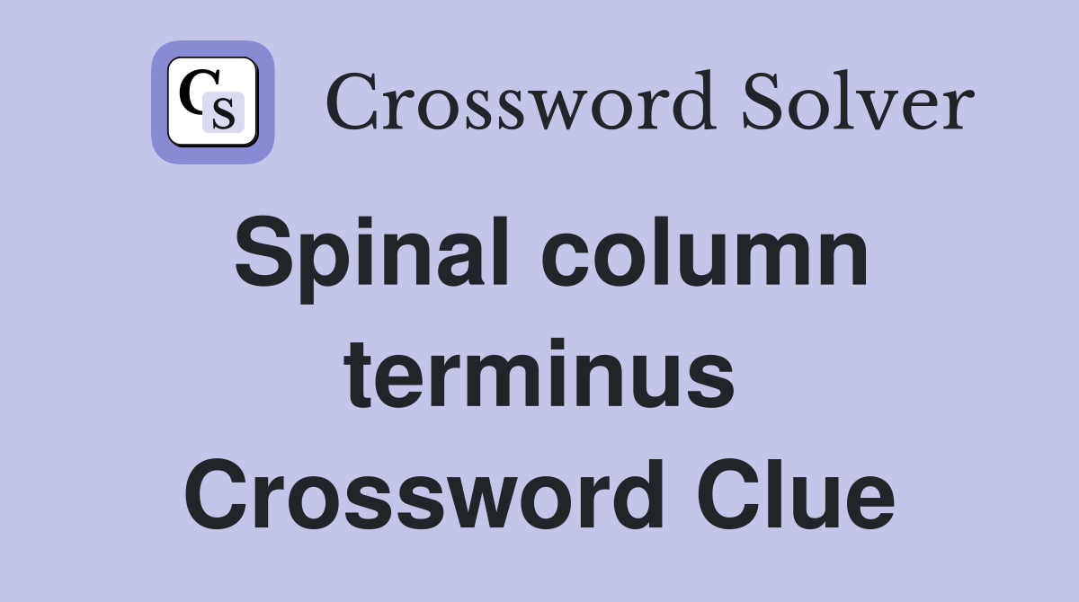 Spinal column terminus Crossword Clue